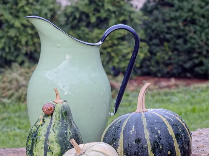 Pumpkin puree for soups, pastries, dinner dishes, porridge