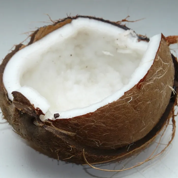 Homemade plant milk from desiccated coconut