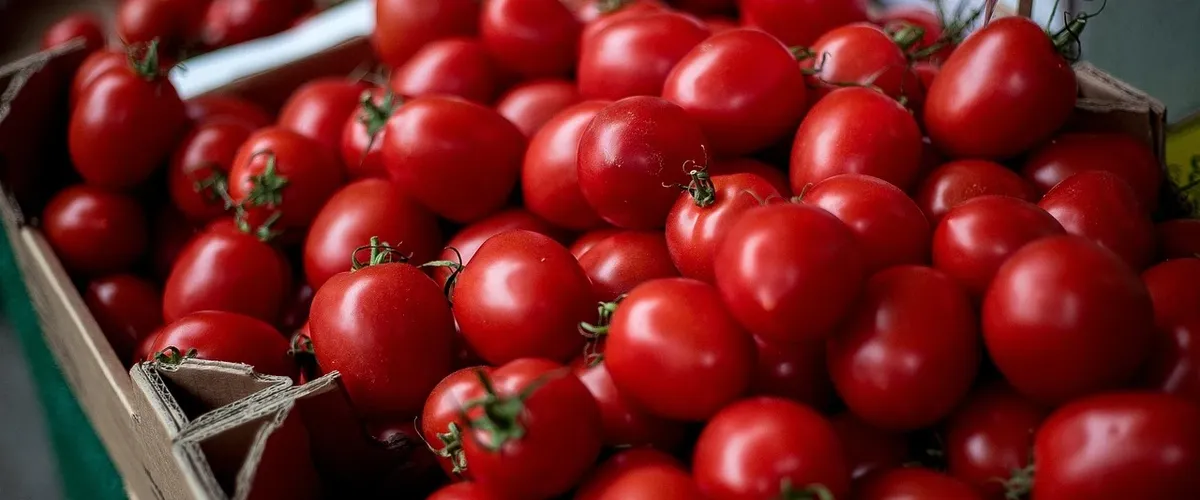 Tomato sauce with passata puree